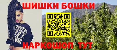 МДПВ Новодвинск