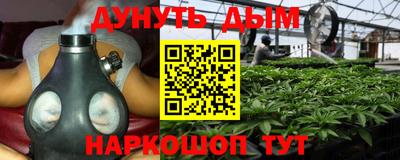дживик Новокубанск