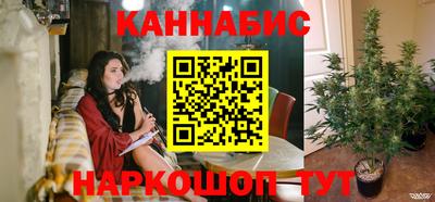 МДПВ Новодвинск