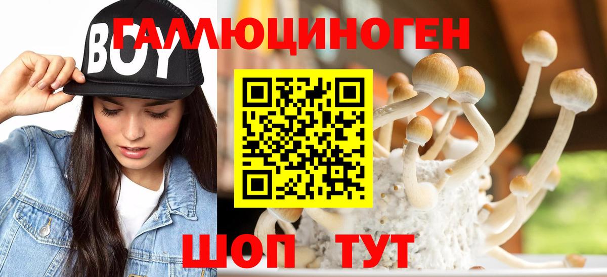 Сургут  Псилоцибиновые грибы Magic Shrooms  Галлюциногенные грибы ЛСД  Вход с VPN 